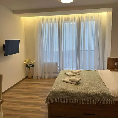 Apartment Pahuljica A10 Kopaonik